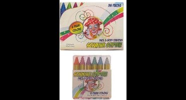 6 Schminkstiften pearl kleur