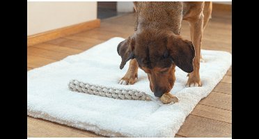 Beeztees Touw Osa - M