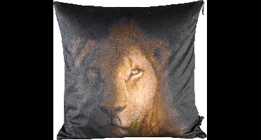 PTMD Raf Vierkant Kussen Leeuw - 45 x 10 x 45 cm - Velvet - Bruin