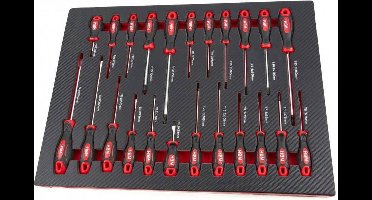23 Delige Schroevendraaierset in Carbon Foam inlay voor Gereedschapswagen