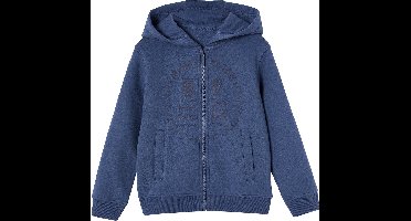 Vertbaudet Ritssweater mt capuchon sport BASICS jongens