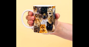 Crazy cat lady mok - Gift Republic