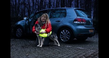 Beeztees Teddie - Hondenjas - Reflecterend - Geel - 30 cm