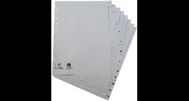 Exacompta 20x Tabbladen met bedrukte tabs in gerecycled PP - 12 tabs - 1 tot 12 - A4 - Grijs - 1912E
