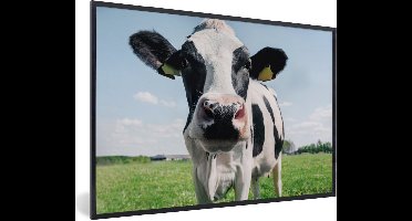 PosterMonkey - Fotolijst - Poster - Koe - Koeien - Natuur - Dieren - Kader - 120x80 cm - Posterlijst - Poster koe - Foto in lijst - Poster frame