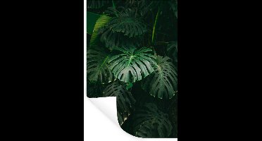 Muurstickers - Sticker Folie - Bladeren - Monstera - Patroon - Meisjes - Kinderen - Jongens - 20x30 cm - Plakfolie - Muurstickers Kinderkamer - Zelfklevend Behang - Zelfklevend behangpapier - Stickerfolie
