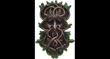 Nemesis Now Muurdecoratie Tawnya - Tree Spirit - Green Man - 28.8cm - Multicolours