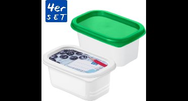 Rotho Domino Diepvriesdozen Etiket Decor 4x0.2L Wit