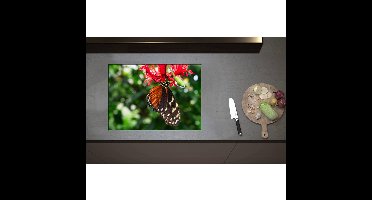 Inductieplaat Beschermer - Bruin met Zwarte Vleugels van Vlinder op Rode Bloeiende Bloem - 70x50 cm - 2 mm Dik - Inductie Beschermer - Bescherming Inductiekookplaat - Kookplaat Beschermer van Zwart Vinyl