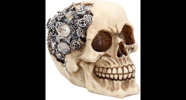 Nemesis Now Beeld/figuur Clockwork Cranium Schedel Creme