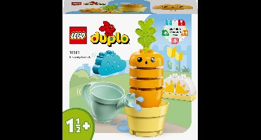 LEGO DUPLO Mijn eerste Groeiende wortel Speelset - 10981