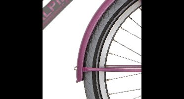 Alpina Spatbord set 22 Cargo fuchsia pink matt