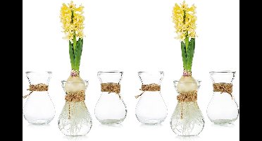 Glazen vazen voor bloemen met koord 6 stuks/set bloemenarrangementen, bloemenvazen glas, kristallen knoopvazen, creatief voor bruiloft, thuis, keuken, tuinbalkon decoratie