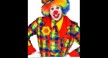 Stropdas clown multi