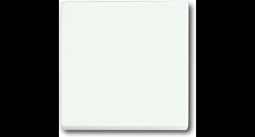 ABB Busch-Jaeger toekomstig Bedieningselement/Centrale Plaat Schakelmateriaal - 2CKA001751A3027 - E2QA3