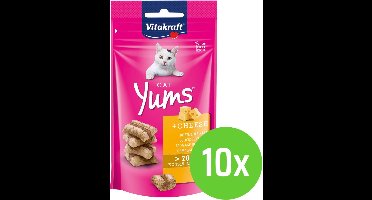 Vitakraft cat yums Kaas - 10 x 40 g