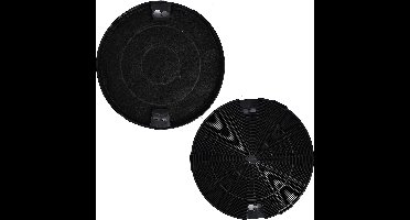 Sauter Koolstoffilter AFC-29