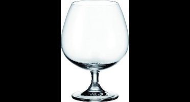 Montana Pure Cognacglas - H14 cm -   6 glazen