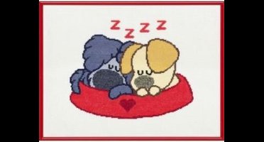 Borduurpakket Woezel Pip