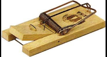 Luna Muizenval (4 stuks)