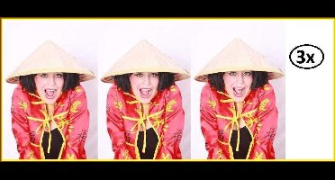 3x Strohoed chinees gevlochten