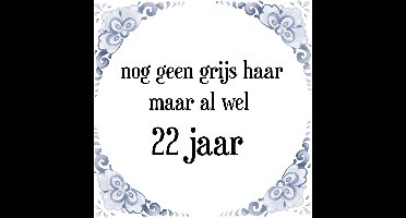 Verjaardag Tegeltje met Spreuk (22 jaar: Nog geen grijs haar, maar al wel 22 jaar + cadeau verpakking & plakhanger