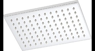 Sanifun hoofddouche Timmers 300 x 200 mm