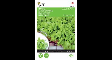 Buzzy Zaden - Pluksla Australische Gele - Lactuca sativa