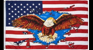 Vlag Adelaar USA