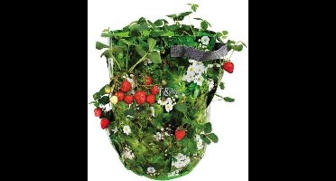 Esschert Design - Kweekzak B1004