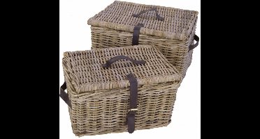 Migo Styling Fietsmand met deksel - rieten bakkersmand - 42x33x23 cm - rotan