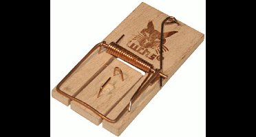 Muizenval Luchs hout