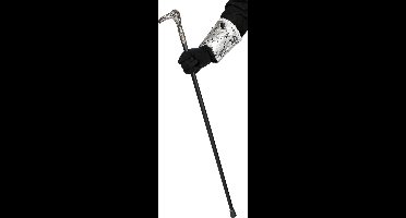 Wandelstok vogel multicolor