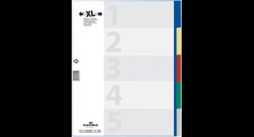 Durable - Plastic Gekleurde Register Tabbladen - DIN A4 - 5 bladen