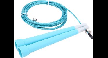 Verstelbaar Springtouw Speed Rope Fitness Sport Jump Rope Licht Blauw