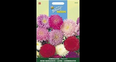 Buzzy - Zomeraster Princes Mix (Callistephus chinensis)