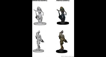D&D Nolzur's Marvelous Miniatures - Medusas – 2 miniaturen