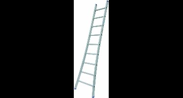 Solide Enkele Uitgebogen Ladder - 1x9 Sporten | Bestel nu