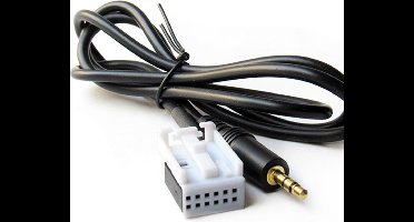 12 Pin Aux kabel Adapter Geschikt voor Vw Volkswagen Rcd 210 Rcd 310