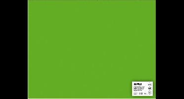 APLI  Grasgroen Karton 50 x 65 cm 170 g/m² - 25 vel