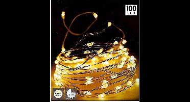 Zilverdraad 100LED - met timer
