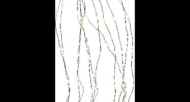 LED-lichtkrans Lumineo Zilverkleurig 5 m Warm wit