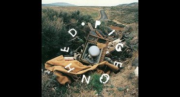 Pigeonhead - Pigeonhead (CD)