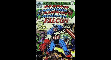 Captain America And The Falcon