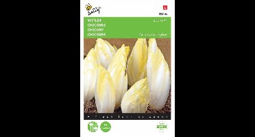 Buzzy® Brusselse Witlof Zoom F1
