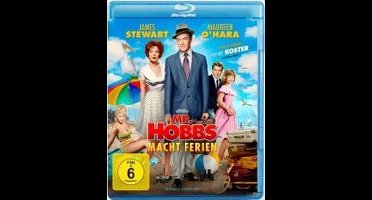 Mr. Hobbs macht Ferien