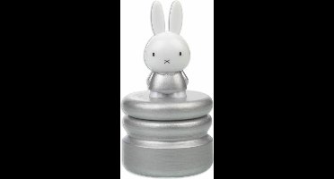 Bambolino Toys Nijntje Tandendoosje - Zilver