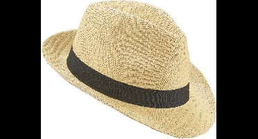 Vegaoo - Deukhoed met zwarte band voor volwassenen