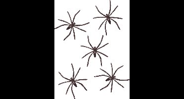 Set van 50 spinnen voor Halloween - Feestdecoratievoorwerp