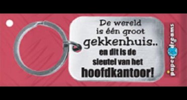 Paper Dreams | RVS Sleutelhanger | De wereld is een groot gekkenhuis!